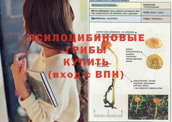 сатива Абаза