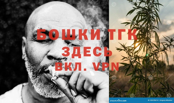сатива Абаза