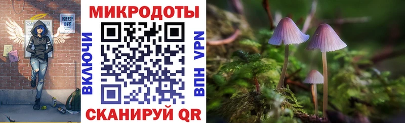 Галлюциногенные грибы прущие грибы  Шарыпово 